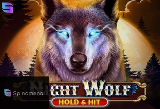 Night Wolf - Hold & Hit
